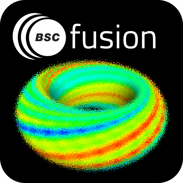BSC FUSION logo